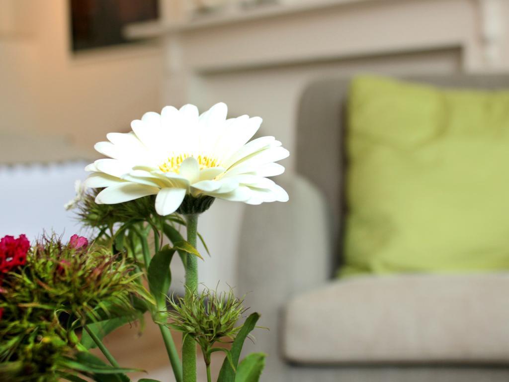 B&B Alphabet - Luxury Guesthouse And Art Gallery บรูจส์ ห้อง รูปภาพ